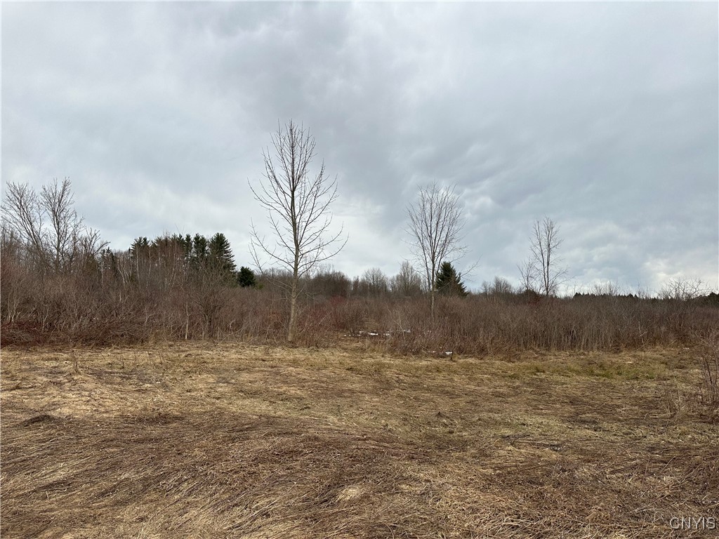 9853 Hazard Road, Marcy, New York image 5