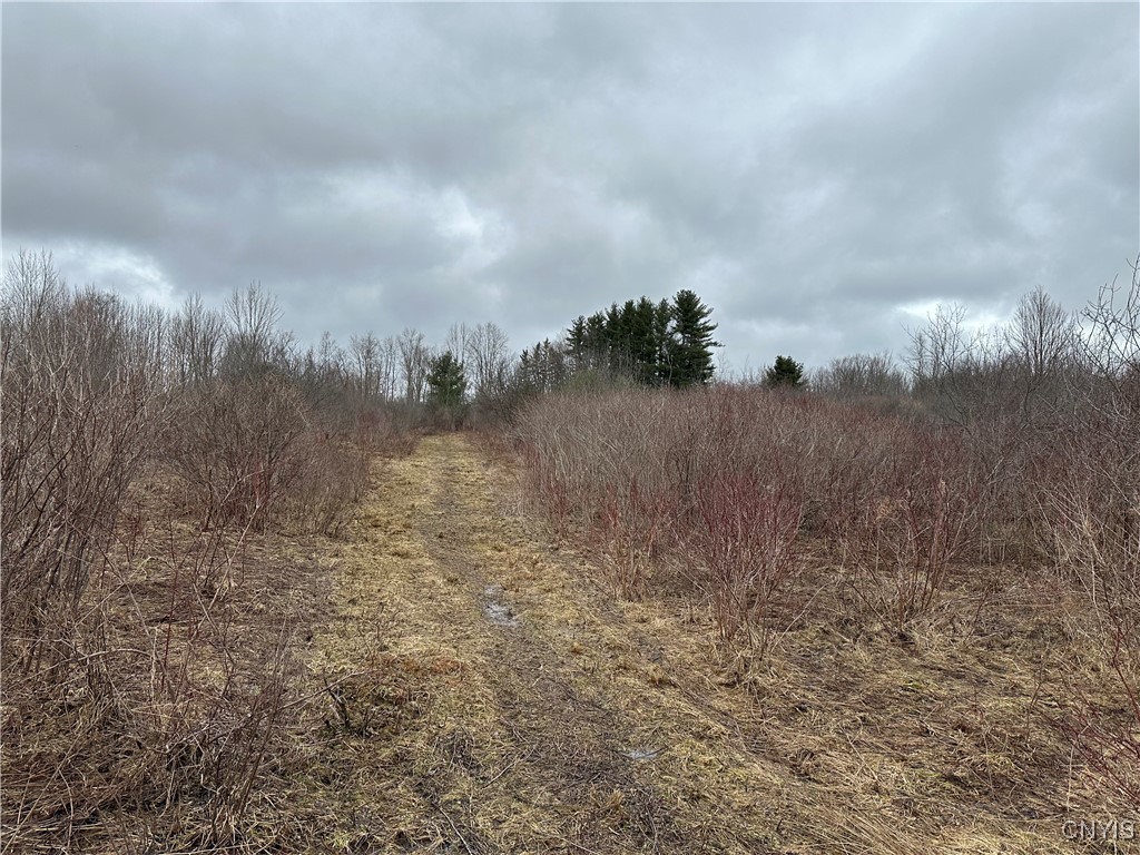 9853 Hazard Road, Marcy, New York image 10