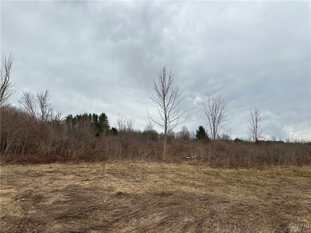 9853 Hazard Road, Marcy, New York image 2