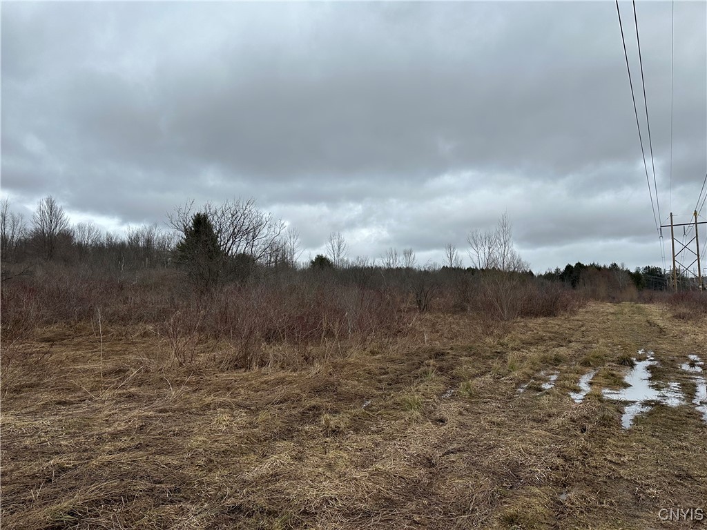 9853 Hazard Road, Marcy, New York image 12