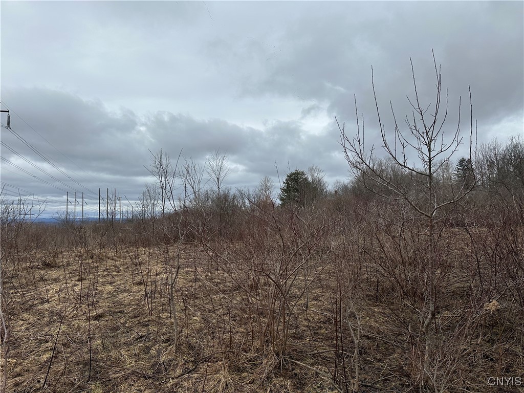 9853 Hazard Road, Marcy, New York image 8