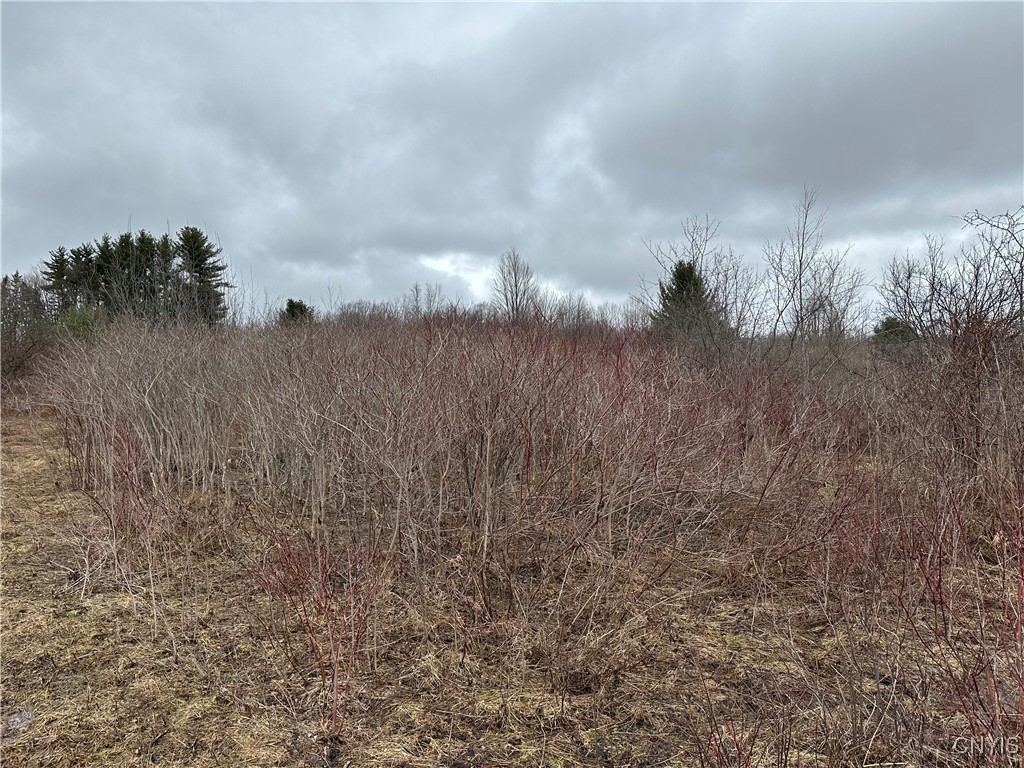 9853 Hazard Road, Marcy, New York image 13