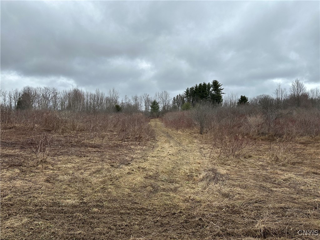 9853 Hazard Road, Marcy, New York image 11