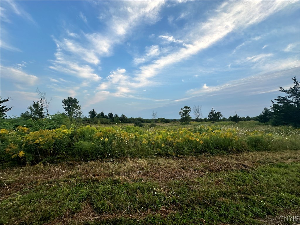 Lot 5 Rt-12, Clayton, New York image 6