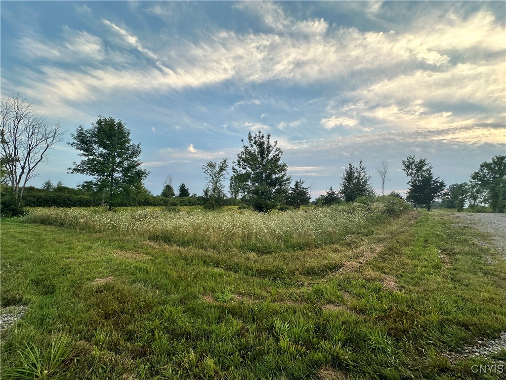 Lot 5 Rt-12, Clayton, New York image 8