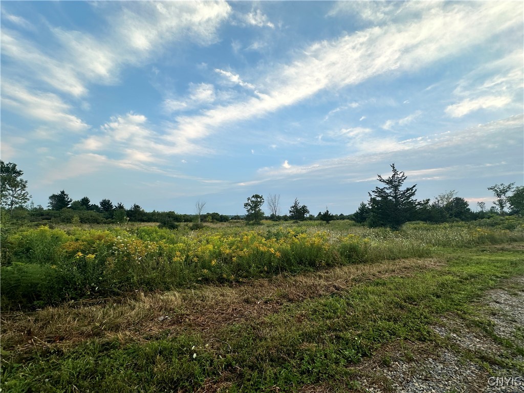 Lot 5 Rt-12, Clayton, New York image 7