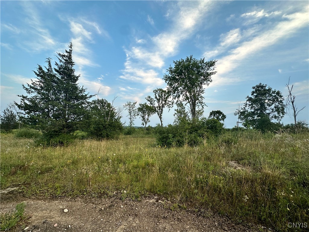 Lot 5 Rt-12, Clayton, New York image 2