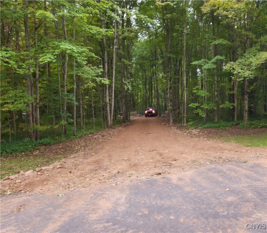 47 Cemetery Drive, Hannibal, New York image 14