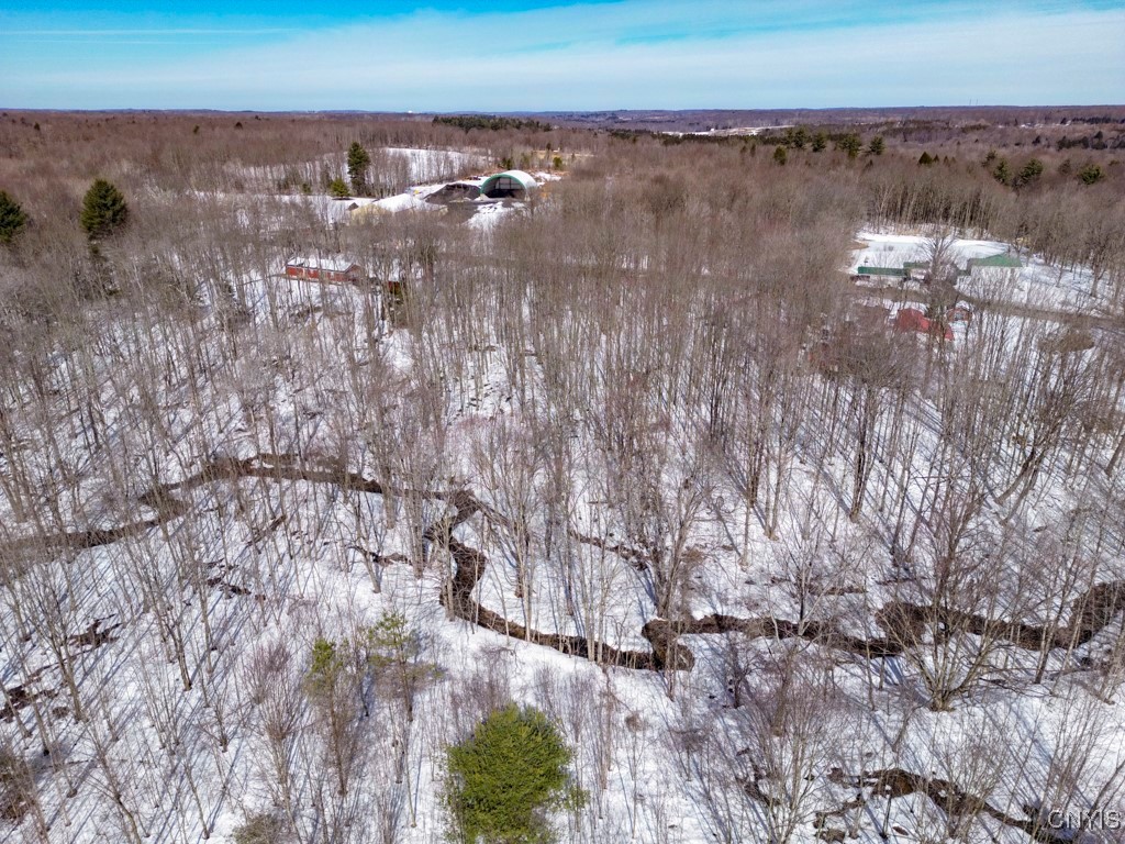 47 Cemetery Drive, Hannibal, New York image 12