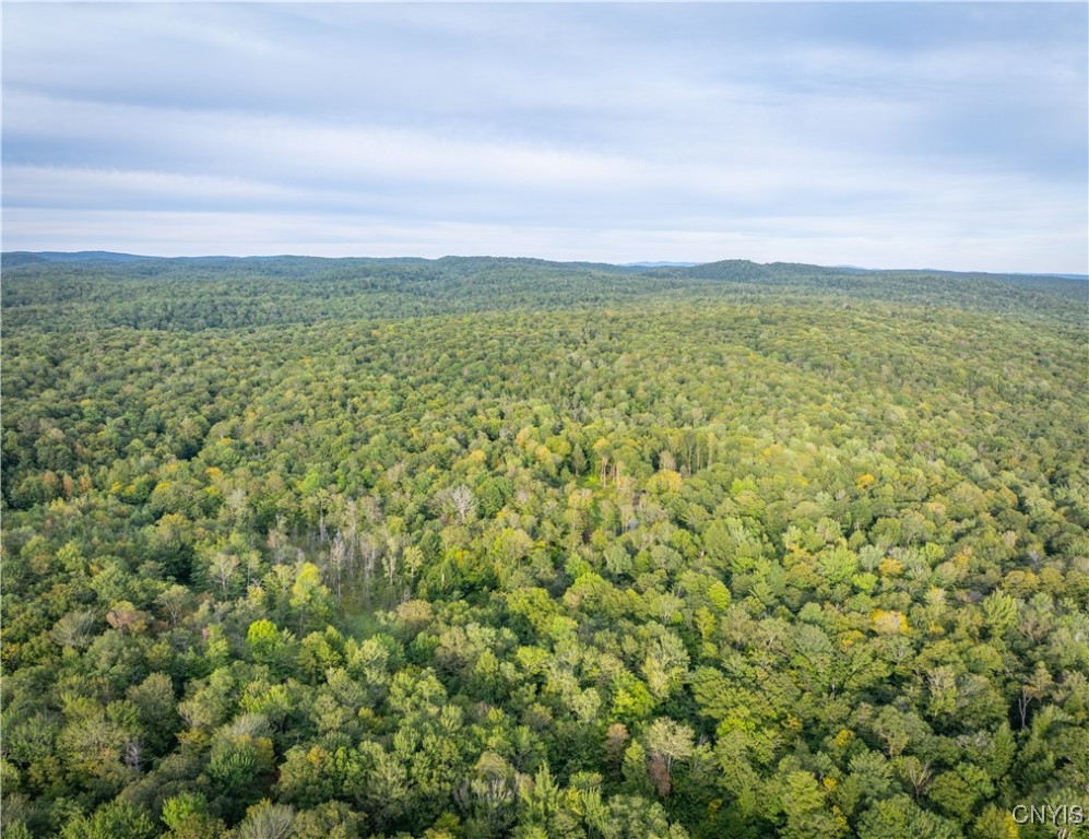 Lot 2.5 Jersey Field Road