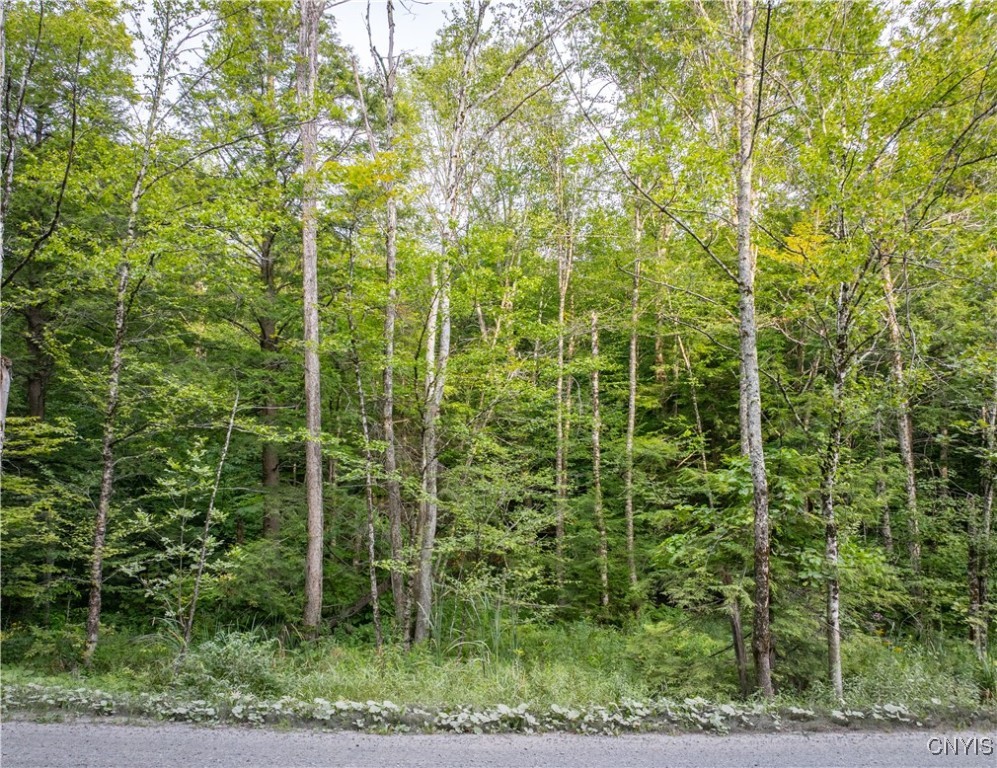 Lot 2.5 Jersey Field Road
