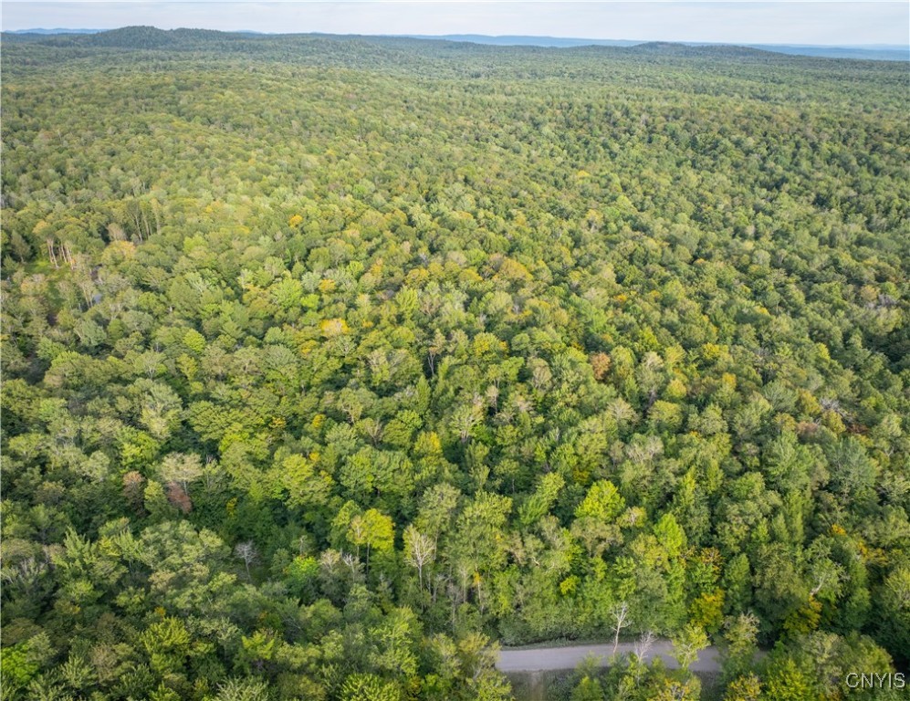 Lot 2.5 Jersey Field Road
