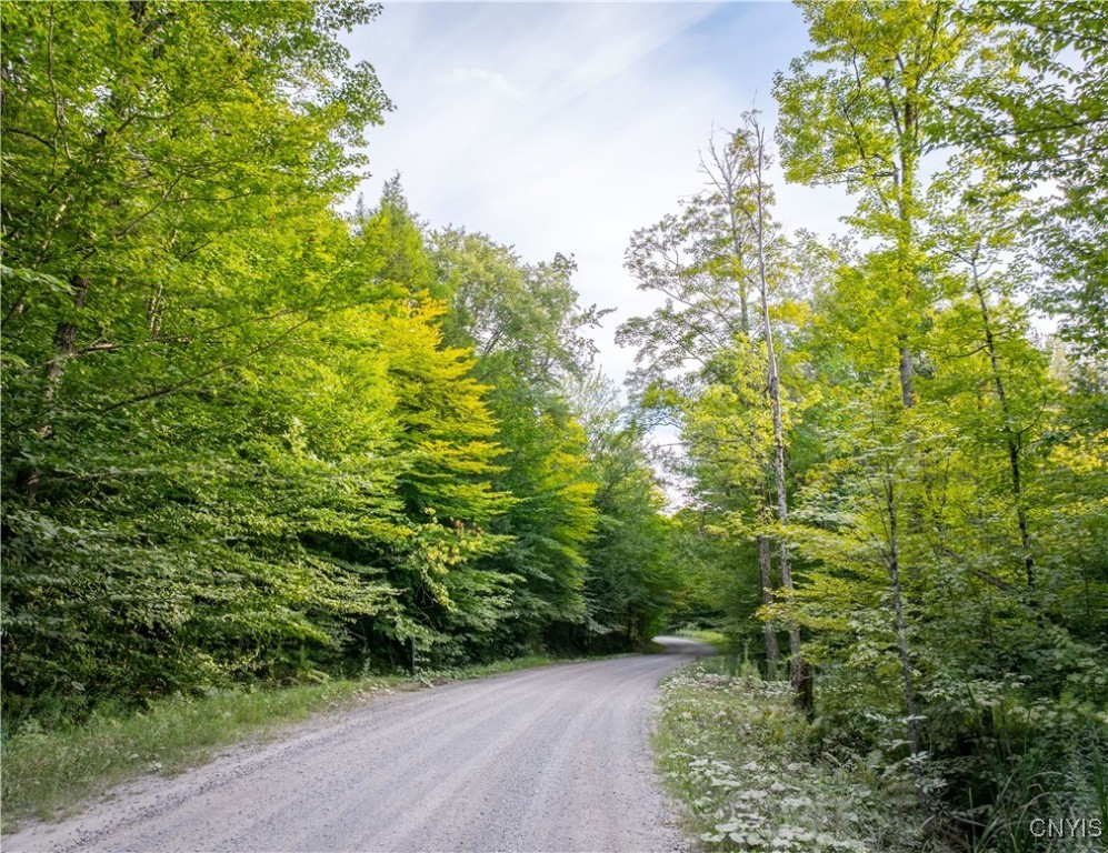 Lot 2.5 Jersey Field Road