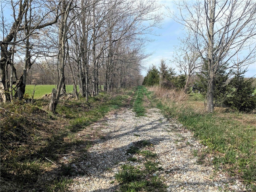 3882 Hurd Road, Greenwood, New York image 37