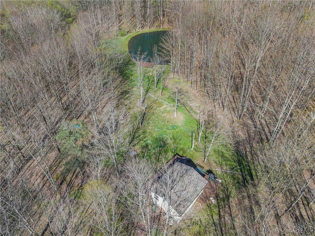 3882 Hurd Road, Greenwood, New York image 38