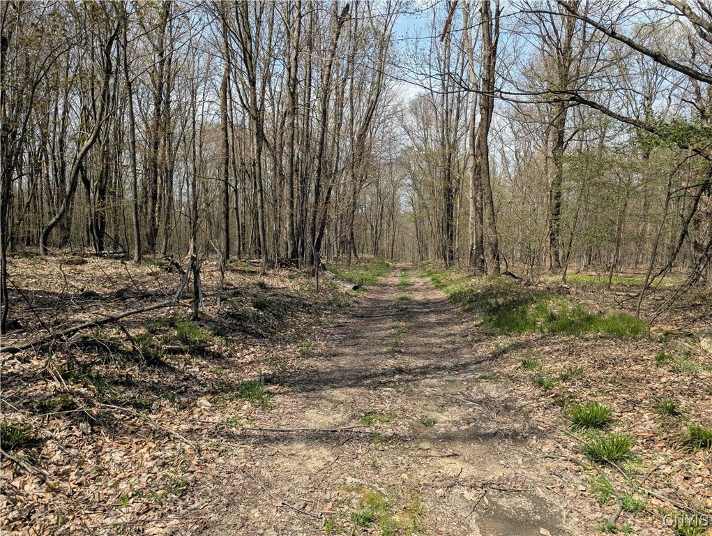 3882 Hurd Road, Greenwood, New York image 35