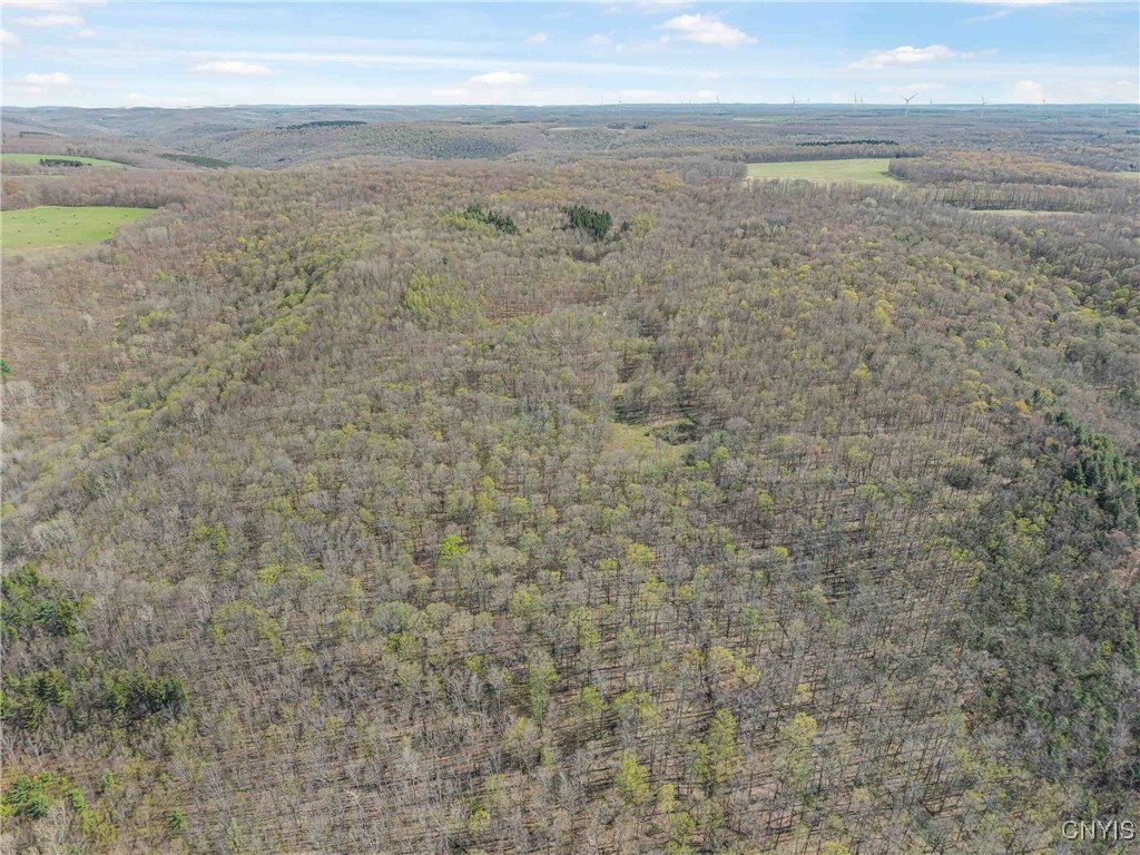 3882 Hurd Road, Greenwood, New York image 46