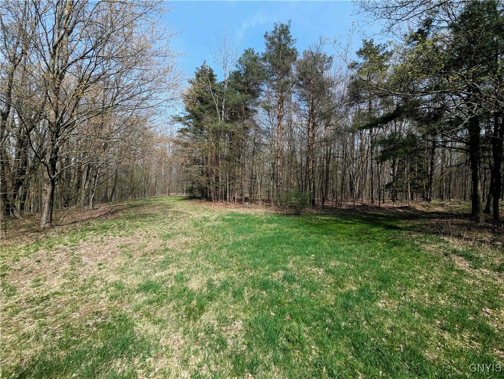 3882 Hurd Road, Greenwood, New York image 18