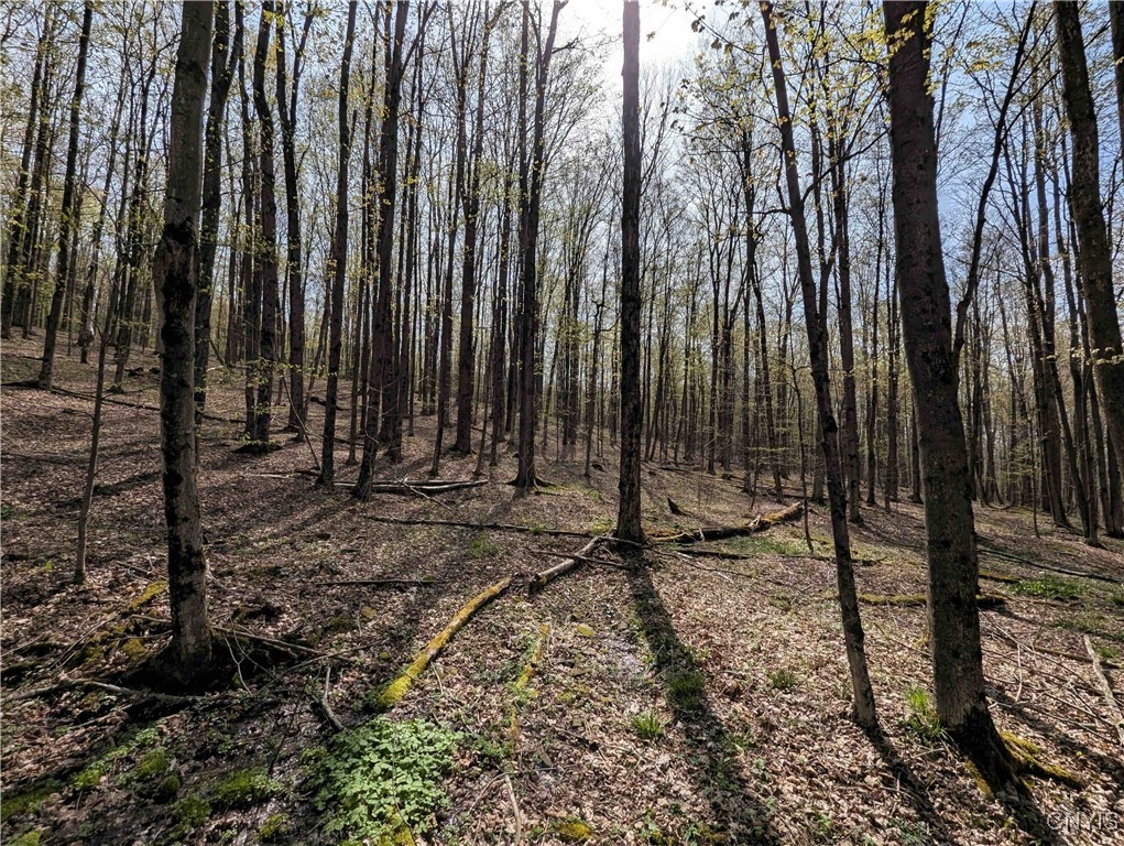 3882 Hurd Road, Greenwood, New York image 23