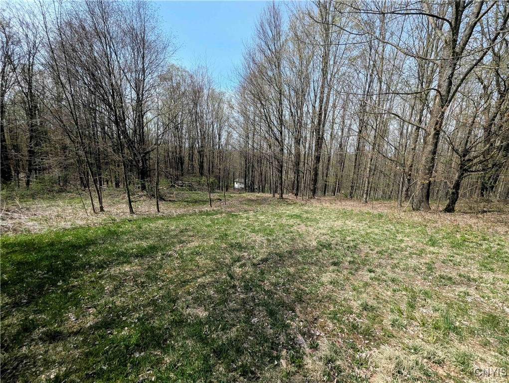 3882 Hurd Road, Greenwood, New York image 19