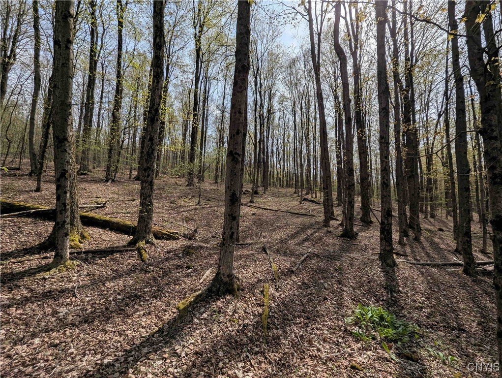 3882 Hurd Road, Greenwood, New York image 24