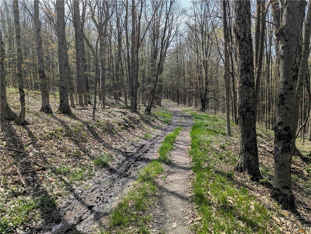 3882 Hurd Road, Greenwood, New York image 34
