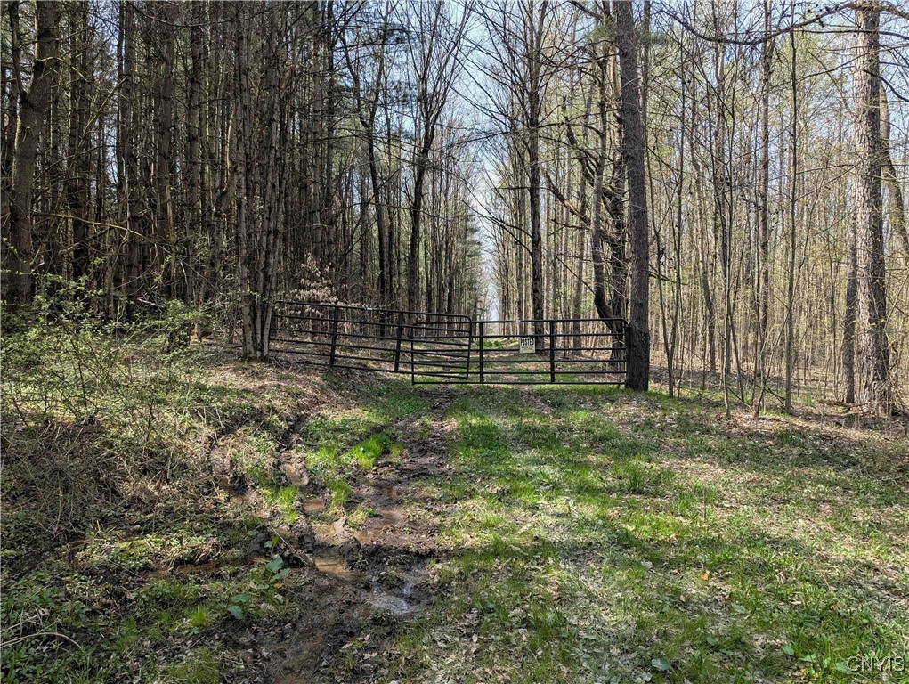 3882 Hurd Road, Greenwood, New York image 33