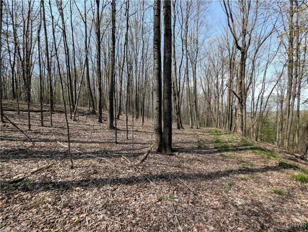3882 Hurd Road, Greenwood, New York image 31