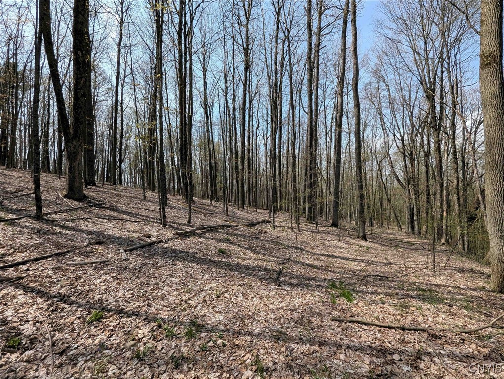 3882 Hurd Road, Greenwood, New York image 30