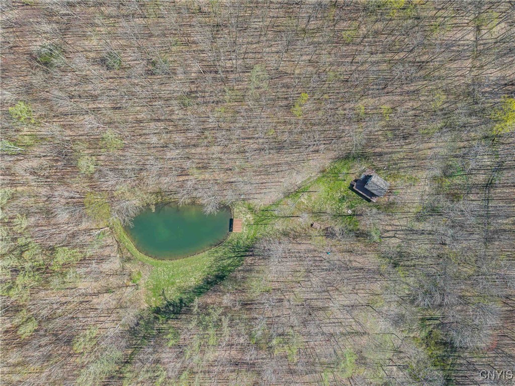 3882 Hurd Road, Greenwood, New York image 41