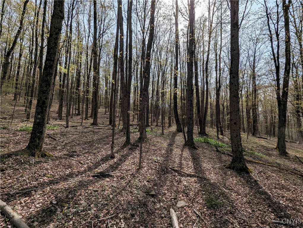 3882 Hurd Road, Greenwood, New York image 21