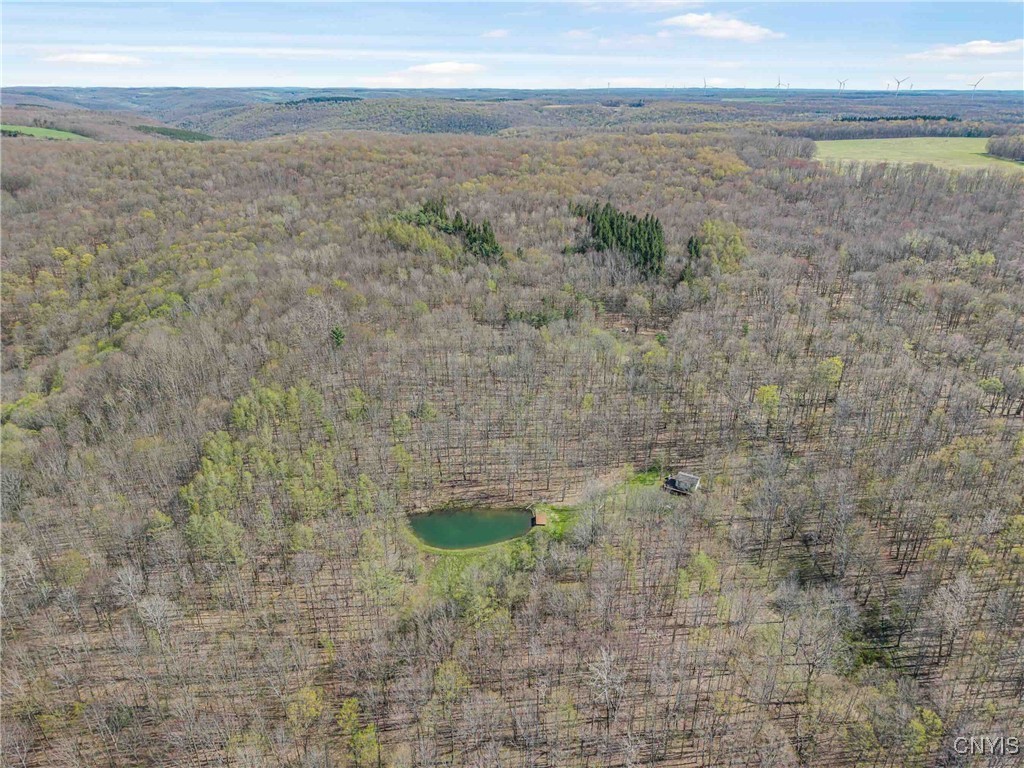 3882 Hurd Road, Greenwood, New York image 42