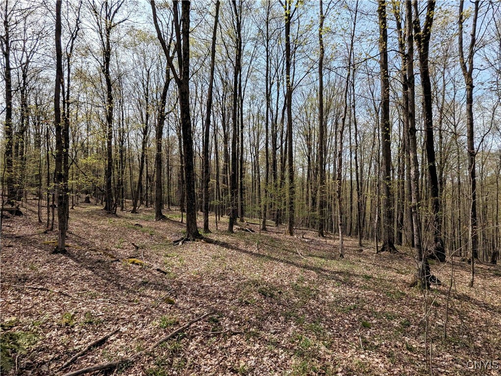 3882 Hurd Road, Greenwood, New York image 25