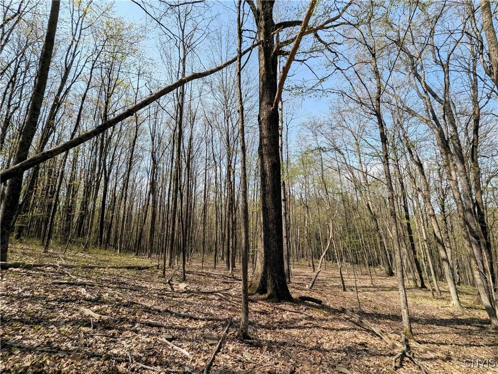 3882 Hurd Road, Greenwood, New York image 26
