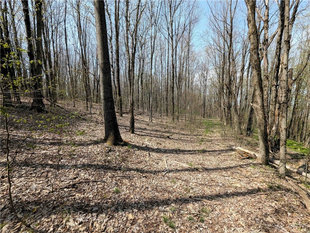 3882 Hurd Road, Greenwood, New York image 32