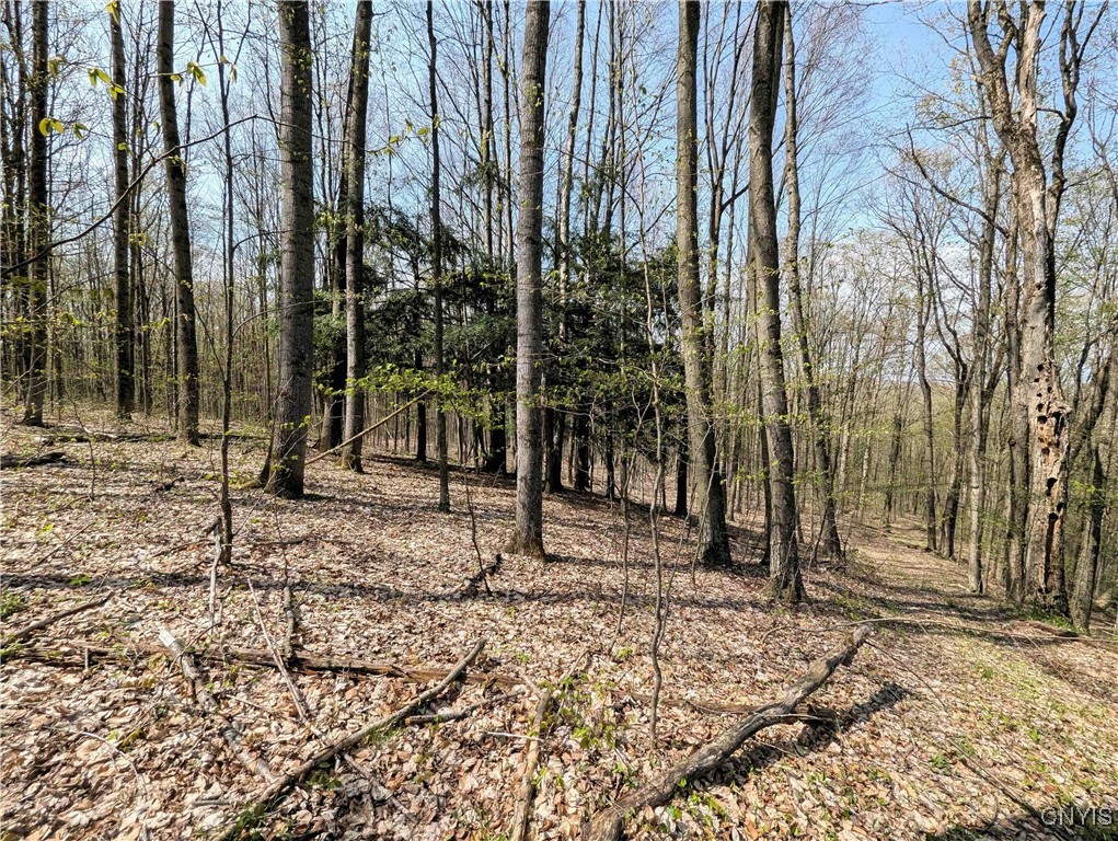3882 Hurd Road, Greenwood, New York image 28