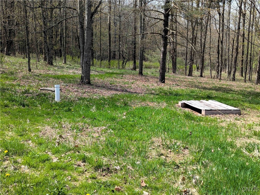 3882 Hurd Road, Greenwood, New York image 16