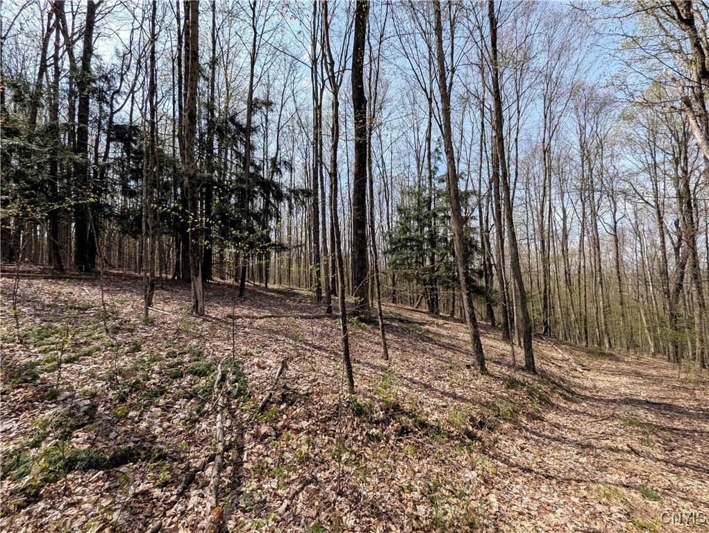 3882 Hurd Road, Greenwood, New York image 29