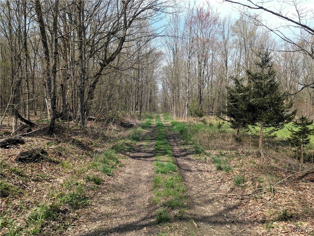 3882 Hurd Road, Greenwood, New York image 36