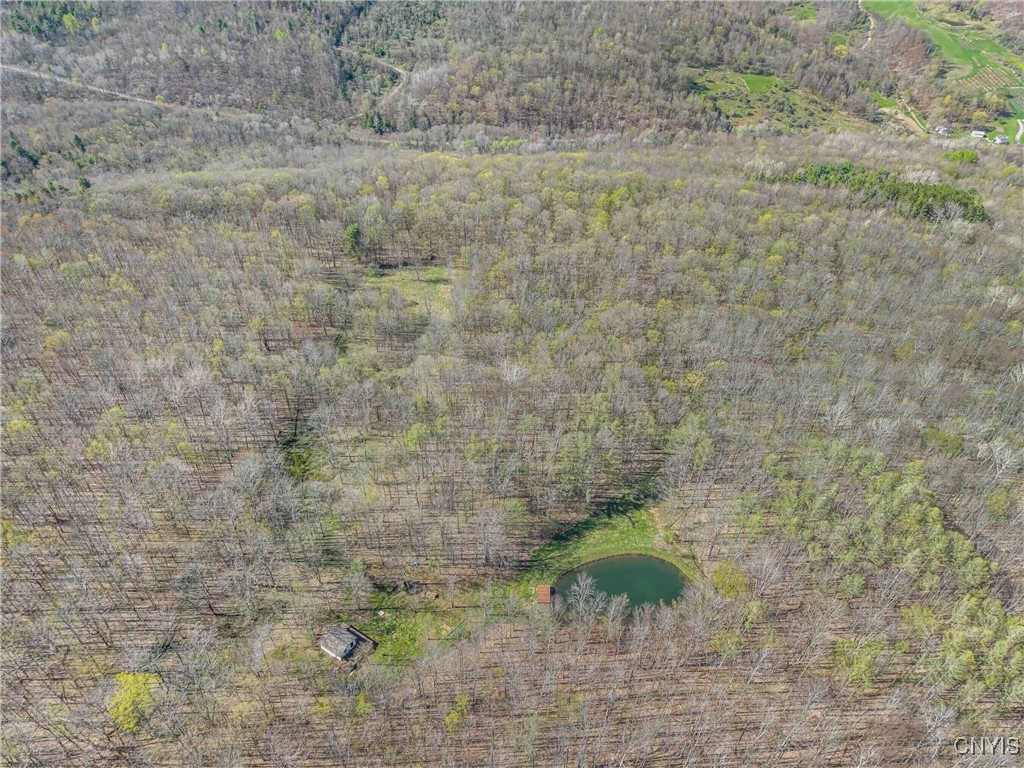 3882 Hurd Road, Greenwood, New York image 44