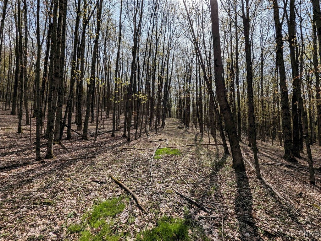 3882 Hurd Road, Greenwood, New York image 20