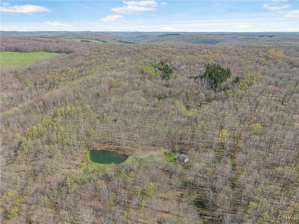 3882 Hurd Road, Greenwood, New York image 3