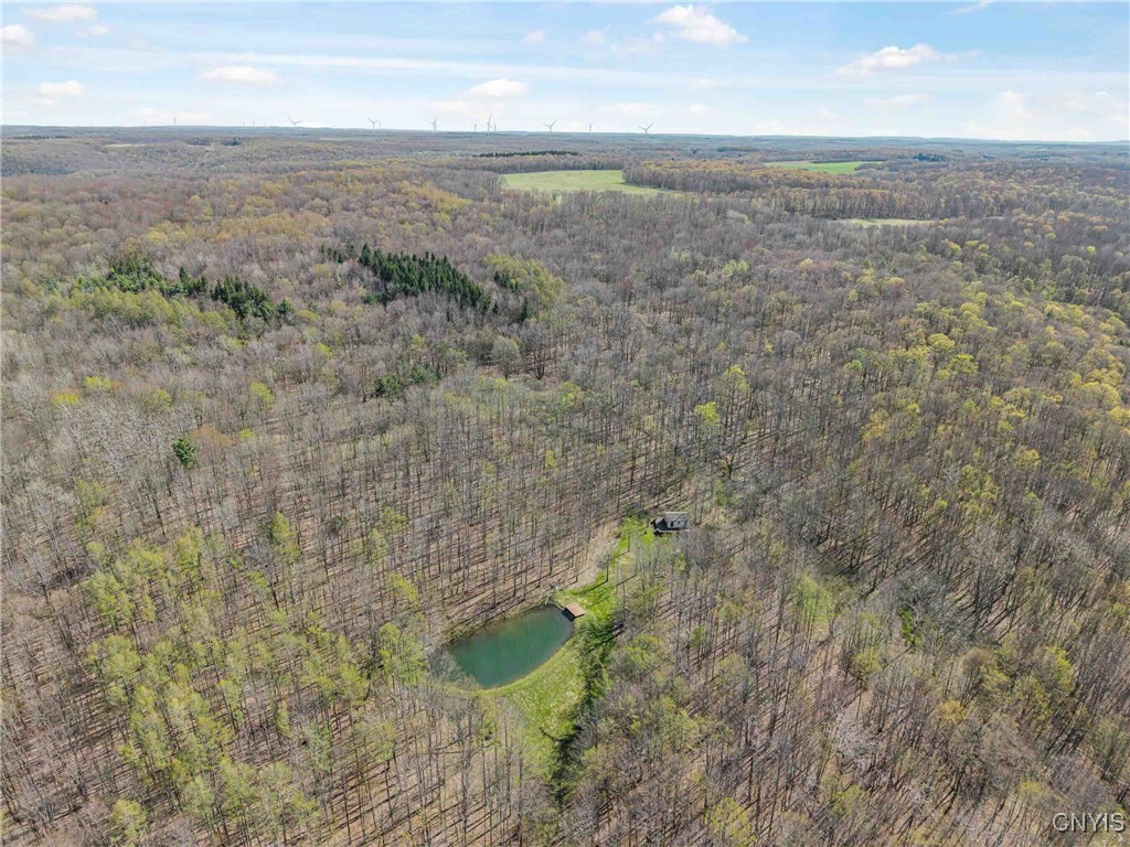 3882 Hurd Road, Greenwood, New York image 2