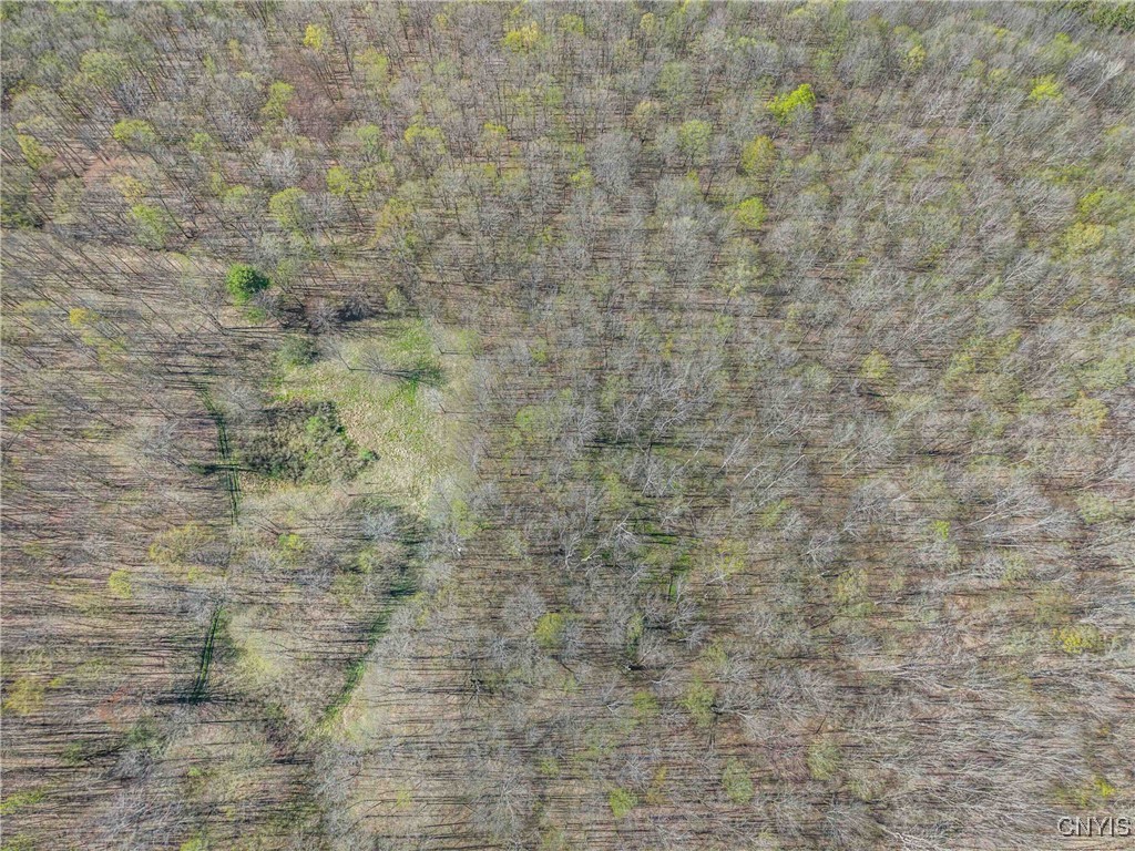 3882 Hurd Road, Greenwood, New York image 45