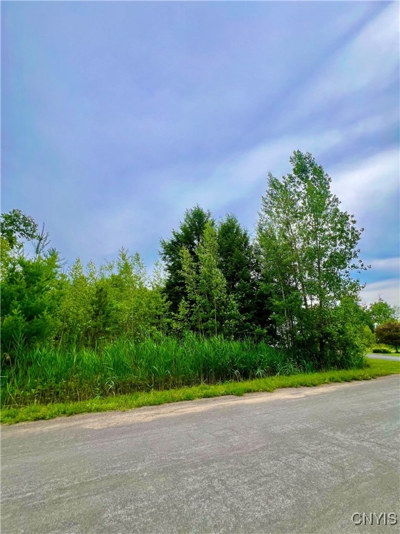 Lot 7 Forest Ridge Drive