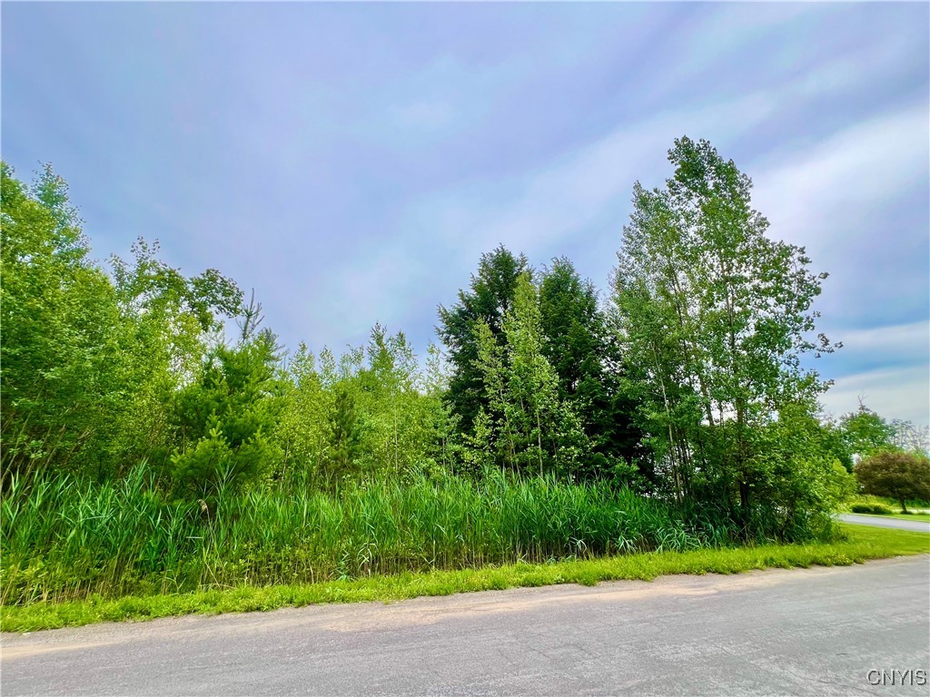 Lot 7 Forest Ridge Drive