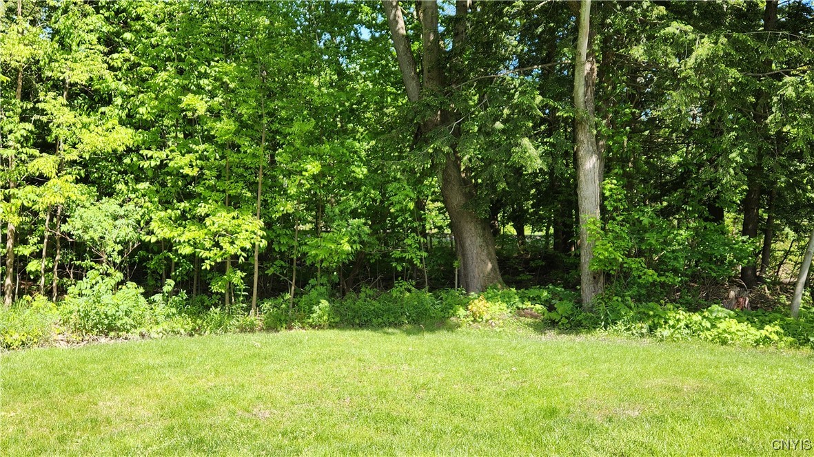 9582 Clarecastle Path Path, Cicero, New York image 4