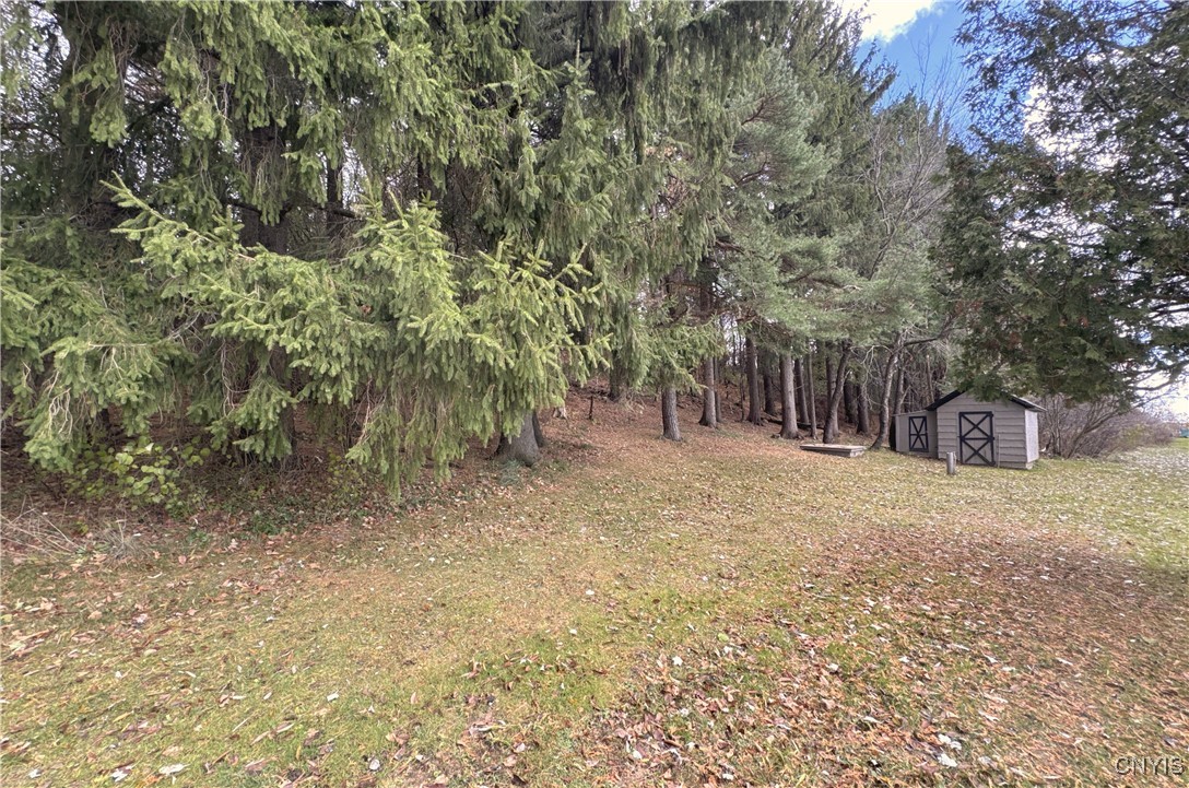 28120 State Route 126