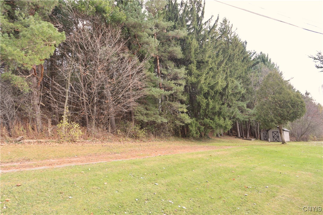 28120 State Route 126