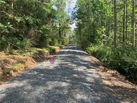 Vacant Land For Sale - 44 AND 48 Gaf Lake Road<br/> Windsor, NY 13865